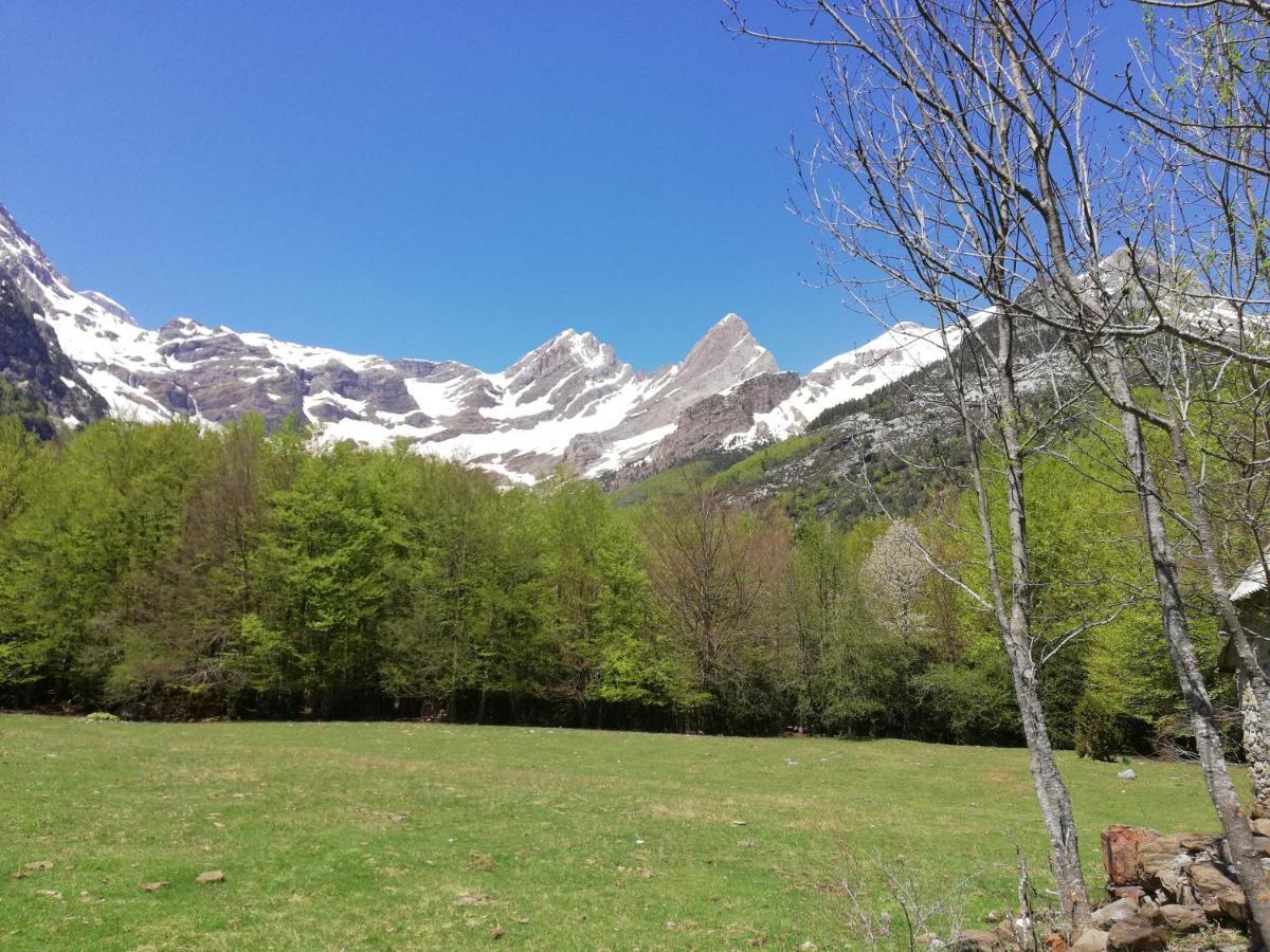 Apartamento El Fenal De Turmo Casa Rural "El Capricho De Nieves" 拉斯普纳 外观 照片